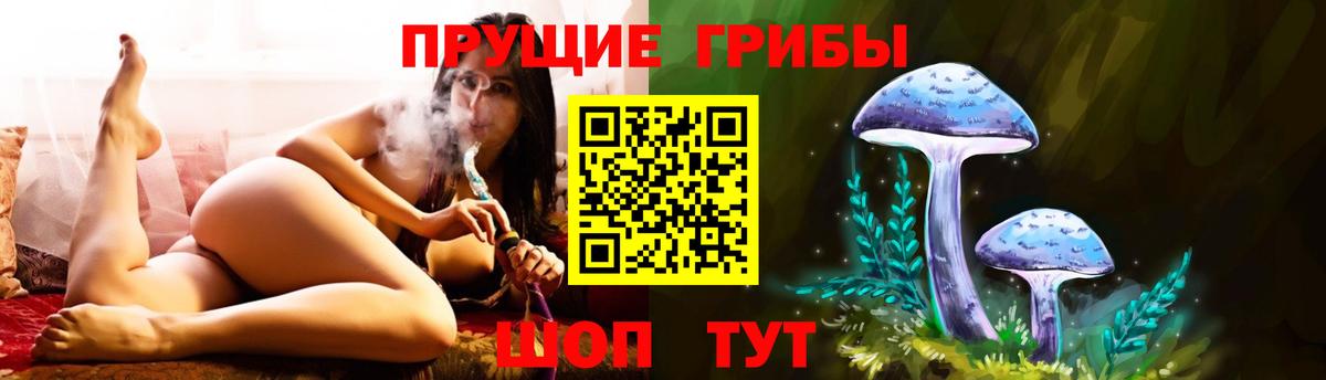 Галлюциногенные грибы прущие грибы  Вход с VPN  Тимашёвск  Псилоцибиновые грибы GOLDEN TEACHER 